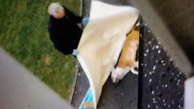 Dog being covered by police officer