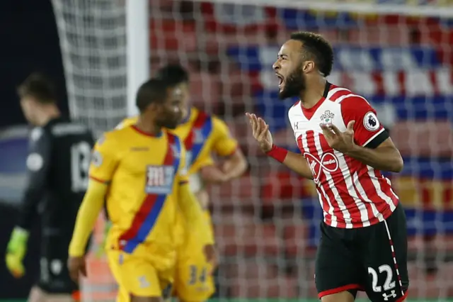 Nathan Redmond celebrates