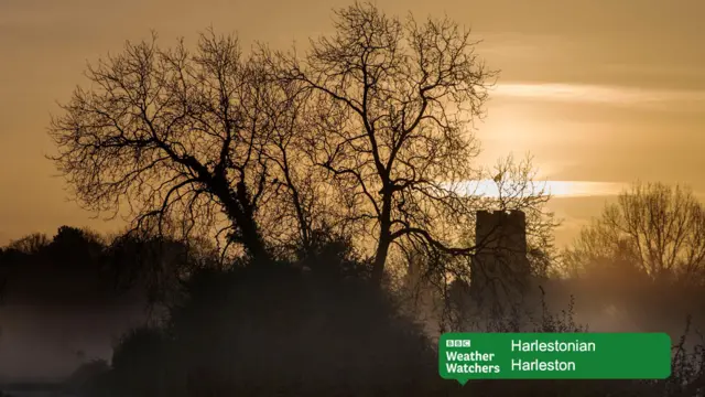 Misty morning sunrise, with church seen through trees