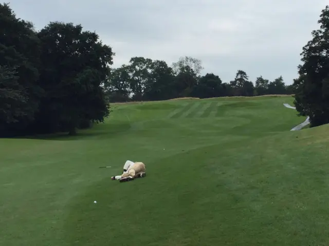 Man lying on golf course