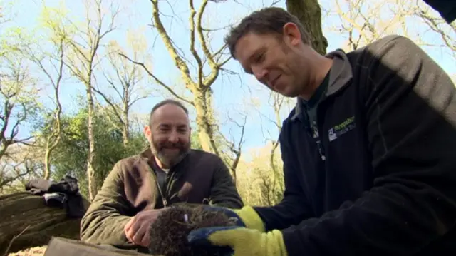 
          Stuart Edmunds from Shropshire Wildlife Trust talking to the BBC
        