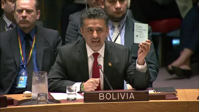 Bolivian ambassador