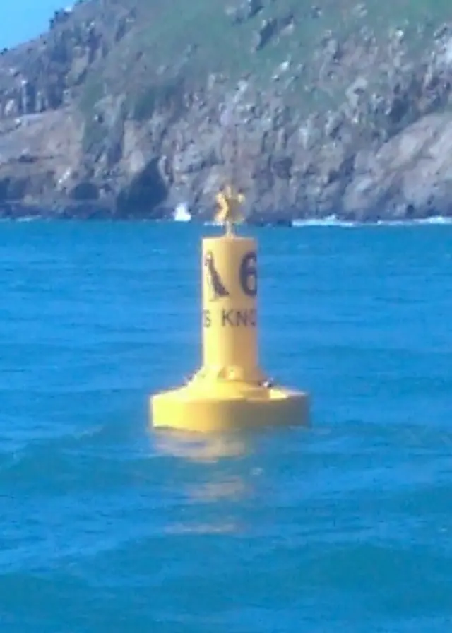 Puffin buoy