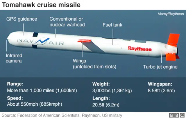 Tomahawk cruise missile graphic