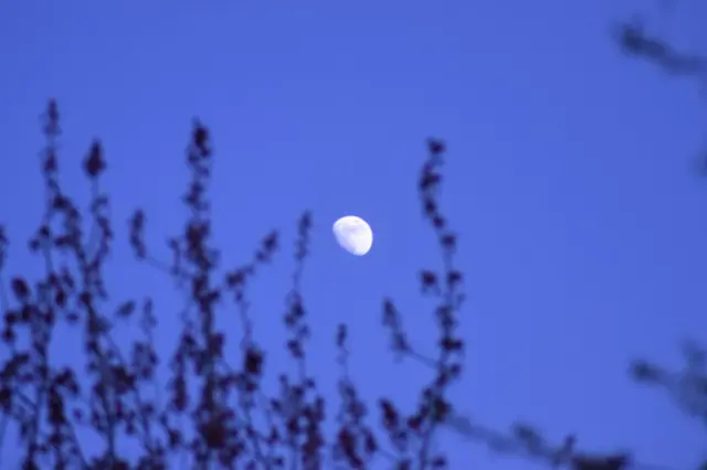 Moon over Redditch