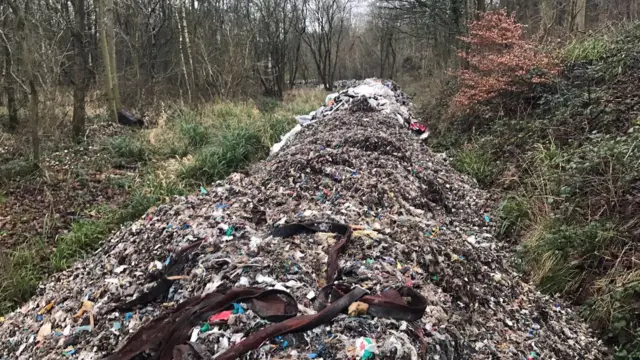 The waste in Gladings Wood