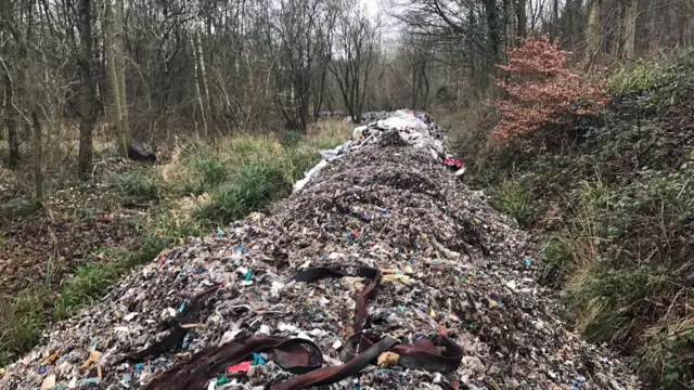 The rubbish on the woodland