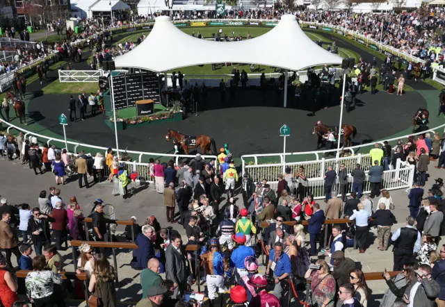 Parade ring