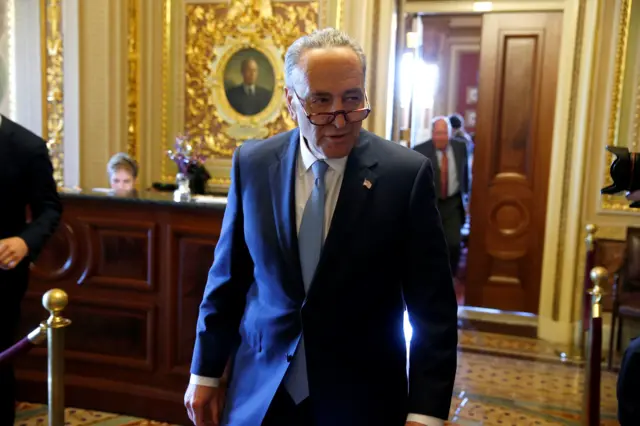 Senate Minority Chuck Schumer (D-NY) speaks to reporters after a Democratic caucus meeting at the U.S. Capitol in Washington, U.S., May 10, 2017.