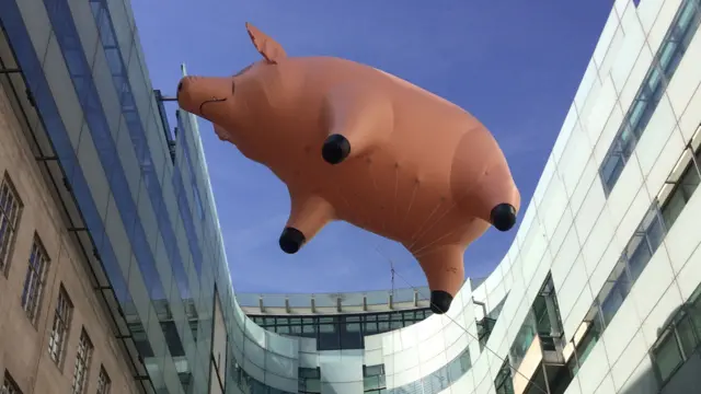 Flying pig
