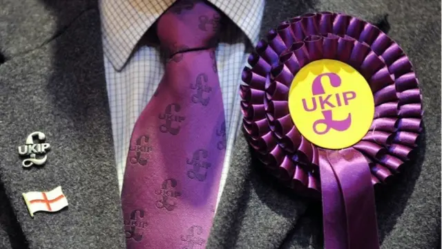 UKIP rosette