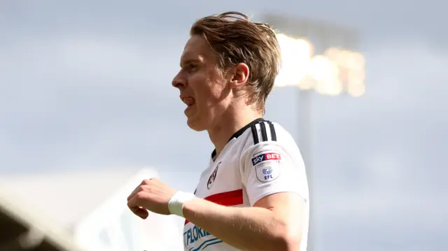 Stefan Johansen