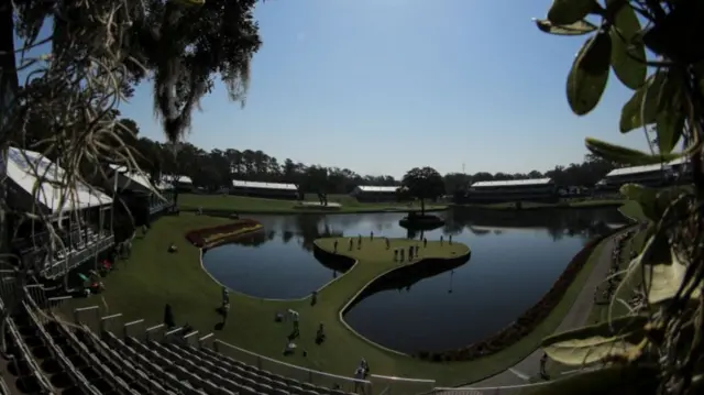 Sawgrass