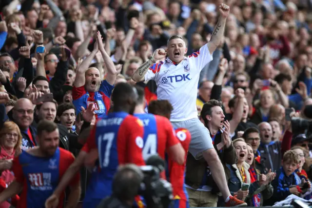 Crystal Palace fan