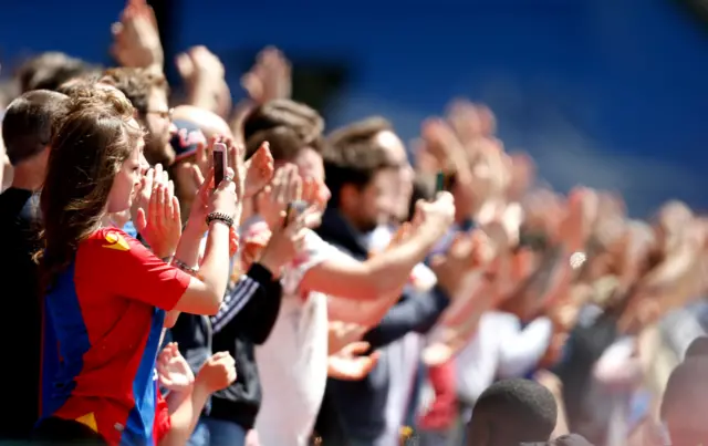 Crystal Palace fan