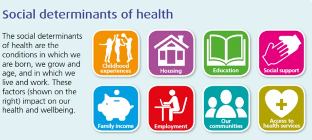 Social detriments of health infographic