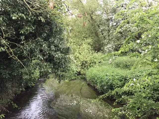 River Mease