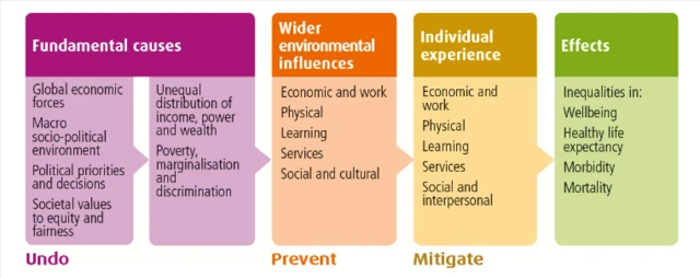 Health inequality diagram