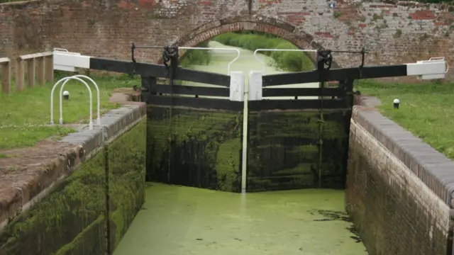 Lock gates