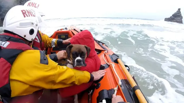 RNLI Newquay rescue