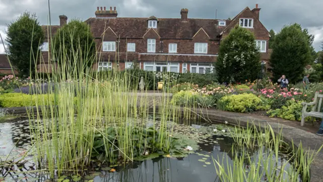 Royal National Rose Society Garden, St Albans