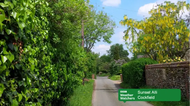 Country lane in Cockfield