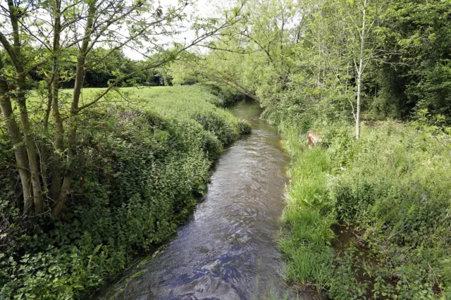 Flowing River Colne, London Colney