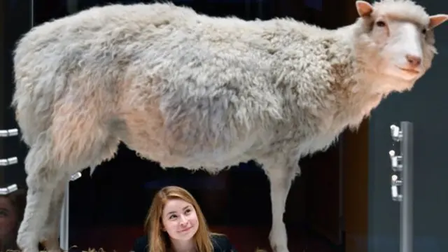 Dolly the Sheep remains one of the star attractions at the Edinburgh museum