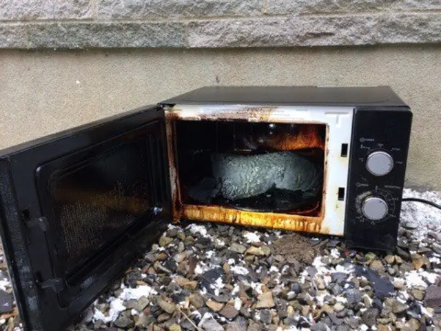 Microwave fire