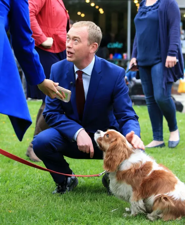 Tim Farron strokes a Lib Dem supporter's dog in Greater Manchester