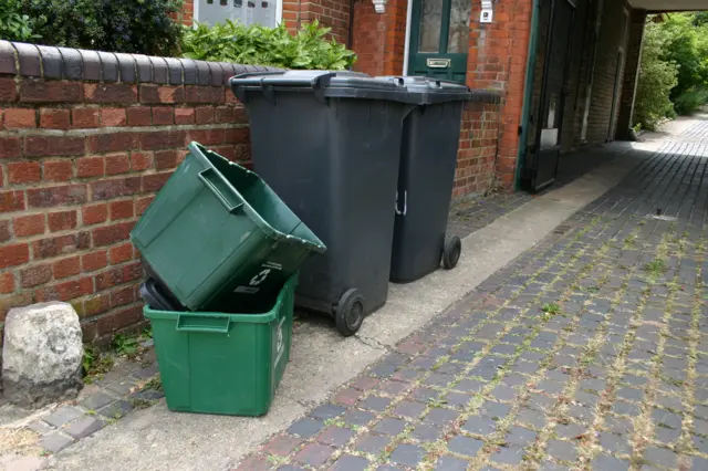 Black bins