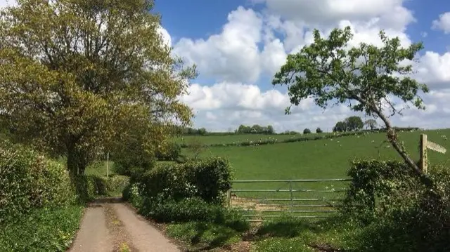 Doddenham