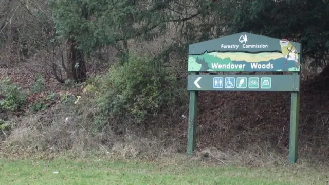 Wendover Woods