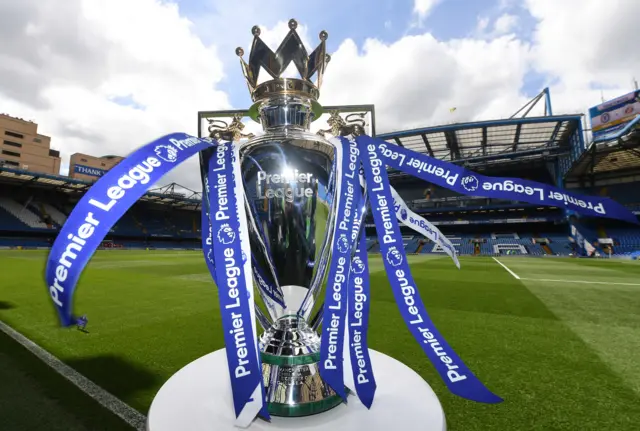 Premier League trophy