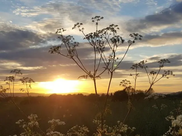 Sunset at Eaton Bishop