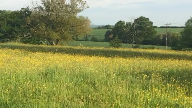 Bridgnorth field