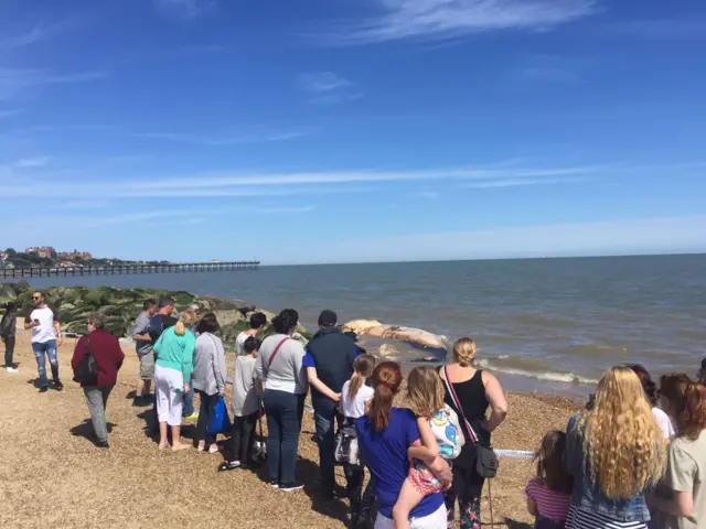 Crowds gather on the beach