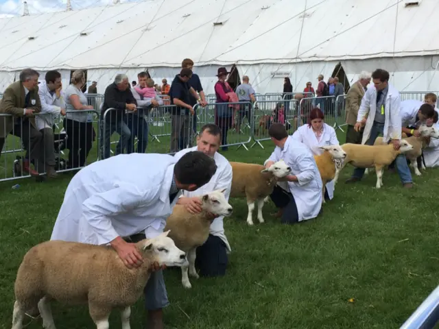 Devon County Show