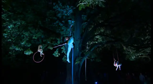 Acrobats in tree