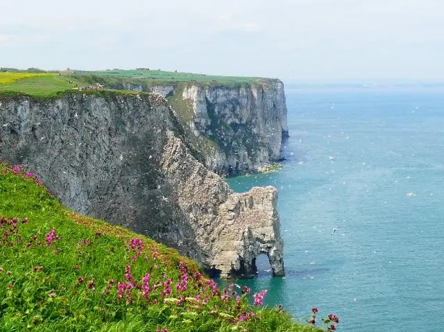 Bempton