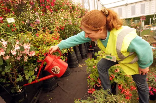 Watering at Potash Nursery stand