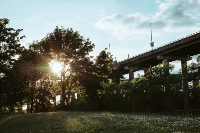 Some greenery around the concrete