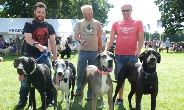 Suffolk Dog Show