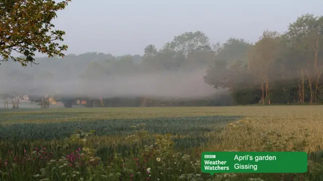 Early morning mist across countryside