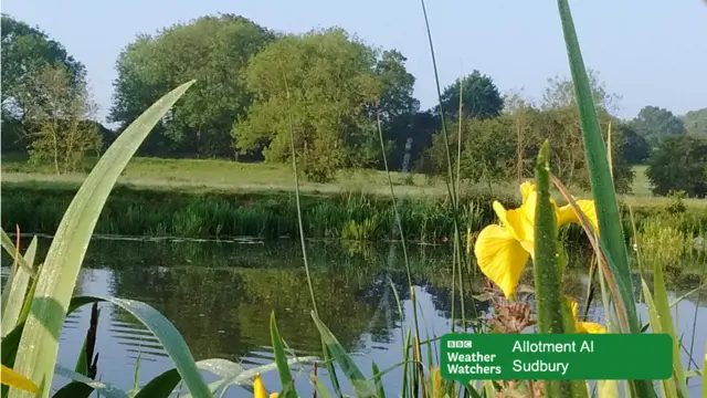 Rural scene near Sudbury