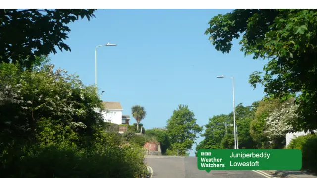 Tree-lined road in Lowestoft