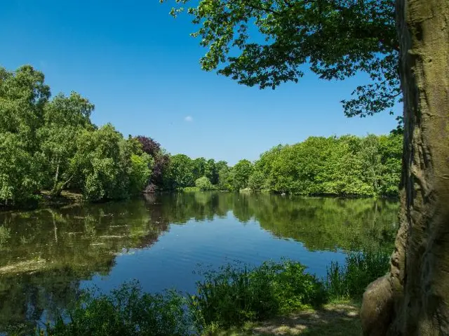 Still lake with trees either side