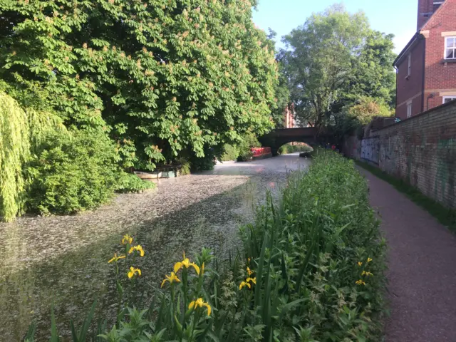 Oxford canal