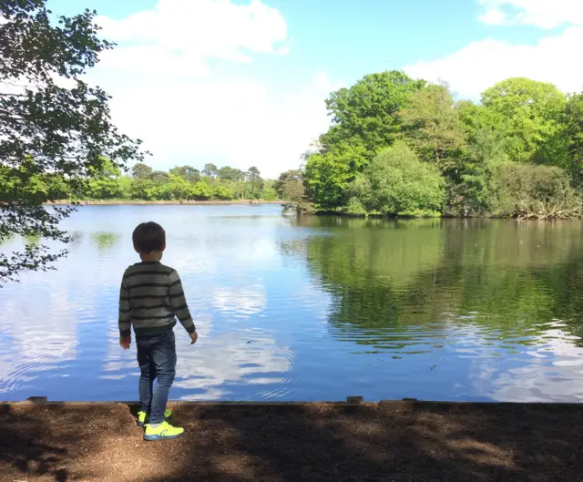 Hartsholme Lake