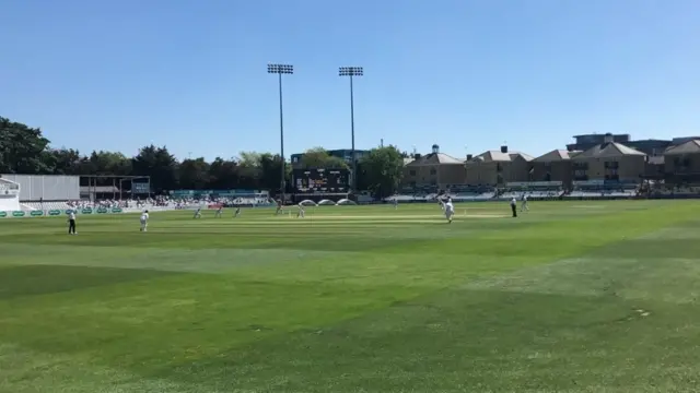 Essex vs Surrey